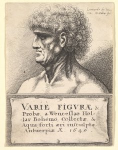 Titelsida till Variety of Figures & Probes, 1645 av Wenceslaus Hollar
