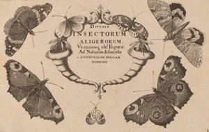 Titelsida. av Wenceslaus Hollar