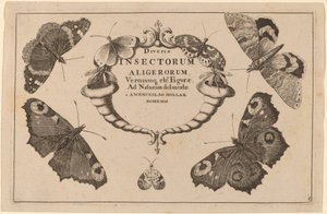 Titelsida av Wenceslaus Hollar