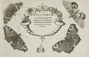Titelsida från Diverse insekter av Wenceslaus Hollar