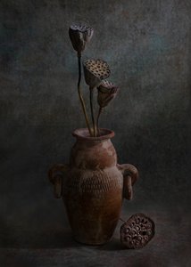  av Wendy Xu
