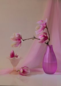  av Wendy Xu