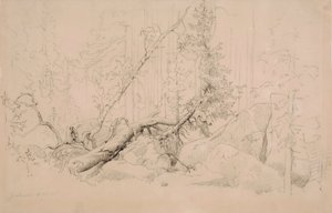Utan titel av Werner Holmberg