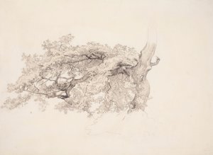 Utan titel av Werner Holmberg