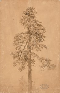 Utan titel av Werner Holmberg
