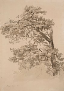 Utan titel av Werner Holmberg