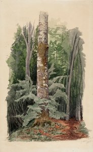 Utan titel av Werner Holmberg