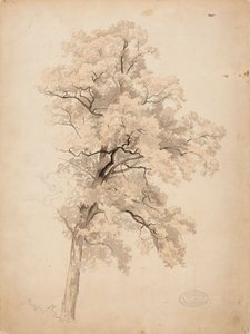 Utan titel av Werner Holmberg