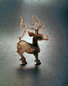 Stag