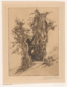 Ihåligt träd på Seelisberg i Schweiz Hollow Tree (originaltitel)