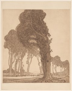 En del av huvudvägen vid dessa Cakranegara (Tjakranegara) på Lombok The Great Road (originaltitel) av Wijnand Otto Jan Nieuwenkamp