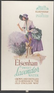 Elsenham Lavender, 1920-tal av Wilfred Fryer