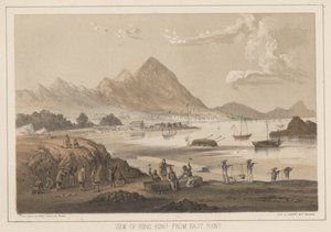 Utsikt över Hongkong från East Point, 1855 av Wilhelm Joseph Heine