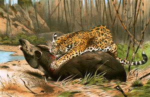 Jaguar dödar tapir av Wilhelm Kuhnert