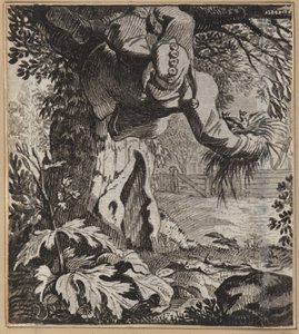 Den djärva dåren av Wilhelm Stettler