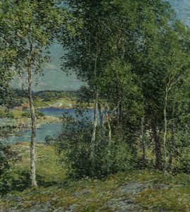 En familj av björkar, 1907.
