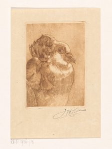 Studie av en duva av Willem Hendrik Bik (signed by artist)