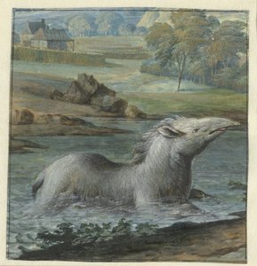 Tapir i vattnet av Willem Hendrik Wilhelmus van Royen
