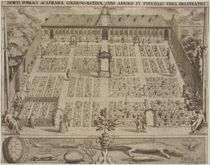 Den botaniska trädgården i Leyden av Willem Isaaksz Swanenburgh
