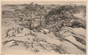 Dune landskap