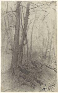 Träd i en skog av Willem Maris