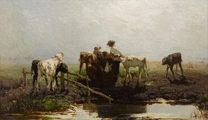 Kalvar vid ett tråg