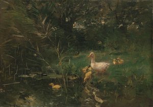 ankungar av Willem Maris