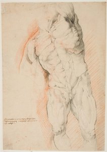Anatomiska studier (écorché). Framifrån av stående flådd man, hans vänstra arm upphöjd av Willem Panneels