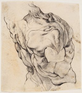 Anatomiska studier (écorché). Bålen på en flätad man sett från baksidan halvt vänd åt höger av Willem Panneels
