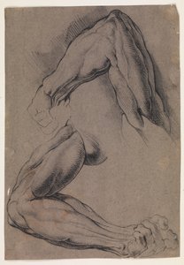 Anatomiska studier (écorché). Två studier av en mans flätade vänstra arm av Willem Panneels