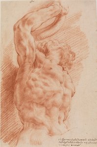Laocoon. Laocoons torso ses underifrån från höger. av Willem Panneels