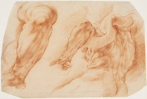 Laocoon. Studier av Laocoons vänstra arm och baksidan av hans bål sett från vänster och underifrån