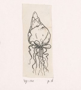 blomlök