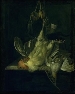 En död vit kuk av Willem van Aelst