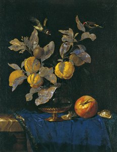 Stilleben med frukt