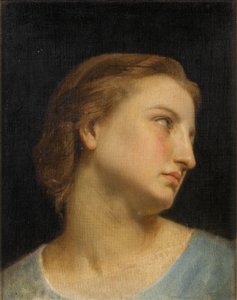 Study of a Womans Head (olja på duk) av William Adolphe Bouguereau