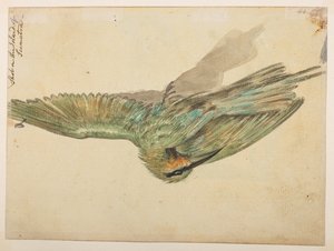 WD 959 avsnitt 2 f.076v