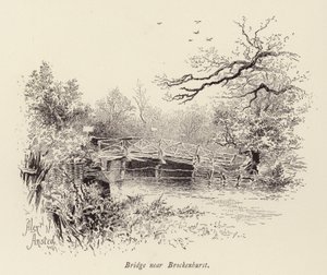 Bro nära Brockenhurst (gravyr) av William Alexander Ansted
