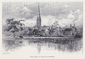 Södra aspekten av palats och katedral (gravyr)