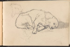 Skiss av en sovande hund, 1879 ca av William Barnes Wollen