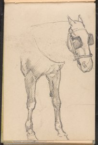 Skiss av häst med blinkers, 1879 ca av William Barnes Wollen