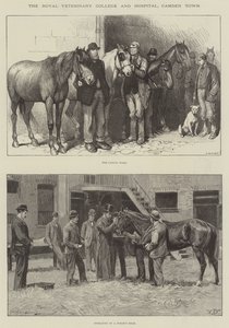 Royal Veterinary College and Hospital, Camden Town av William Barnes Wollen