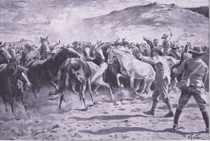 Fångandet av hästarna i Brandwater-distriktet nära Fouriesburg: runda upp flocken, illustration från After Pretoria: The Guerilla War, 1902 av William Barnes Wollen