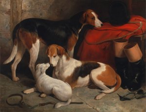 Ett par Foxhounds med en terrier, egendom av Lord Henry Bentinck