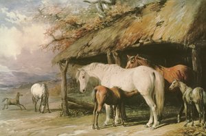 Sto och föl, 1800-talet