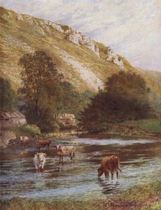 On the Wye, Upper Dale Farm, Monsal Dale (färg litho) av William Biscombe Gardner