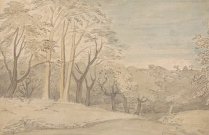 Ett träigt landskap av William Blake