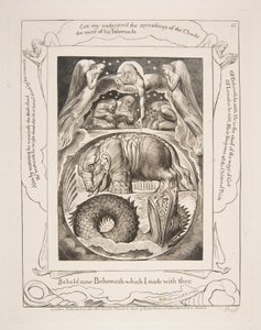 Behemoth och Leviathan, från Illustrationer av Jobs bok, 1825-26. av William Blake
