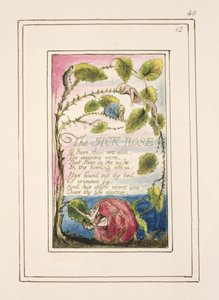 P.124-1950.pt40 Den sjuka rosen: plåt 40 från 