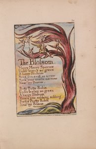 Songs of Innocence and of Experience, Plate 20, The Blossom (Bentley 11) av William Blake